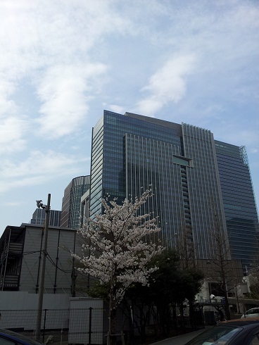 再び東京へ（桜）